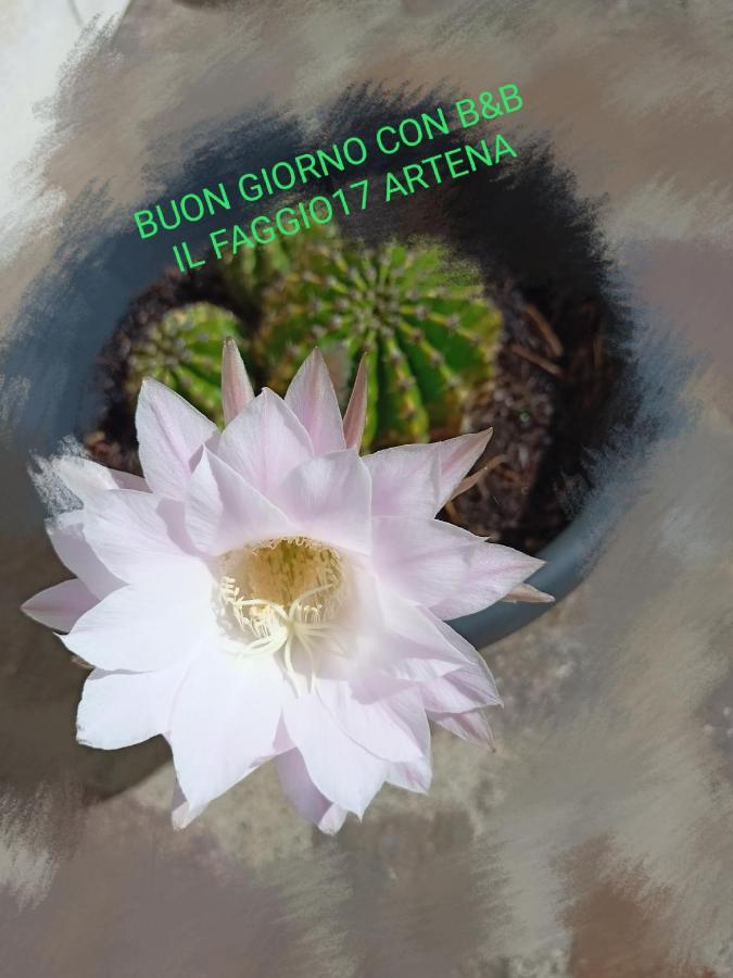 Il Faggio 17 B&B Artena Buitenkant foto