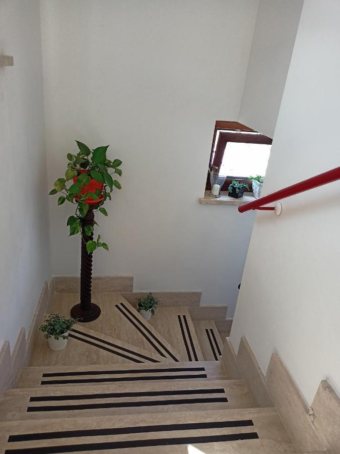 Il Faggio 17 B&B Artena Buitenkant foto