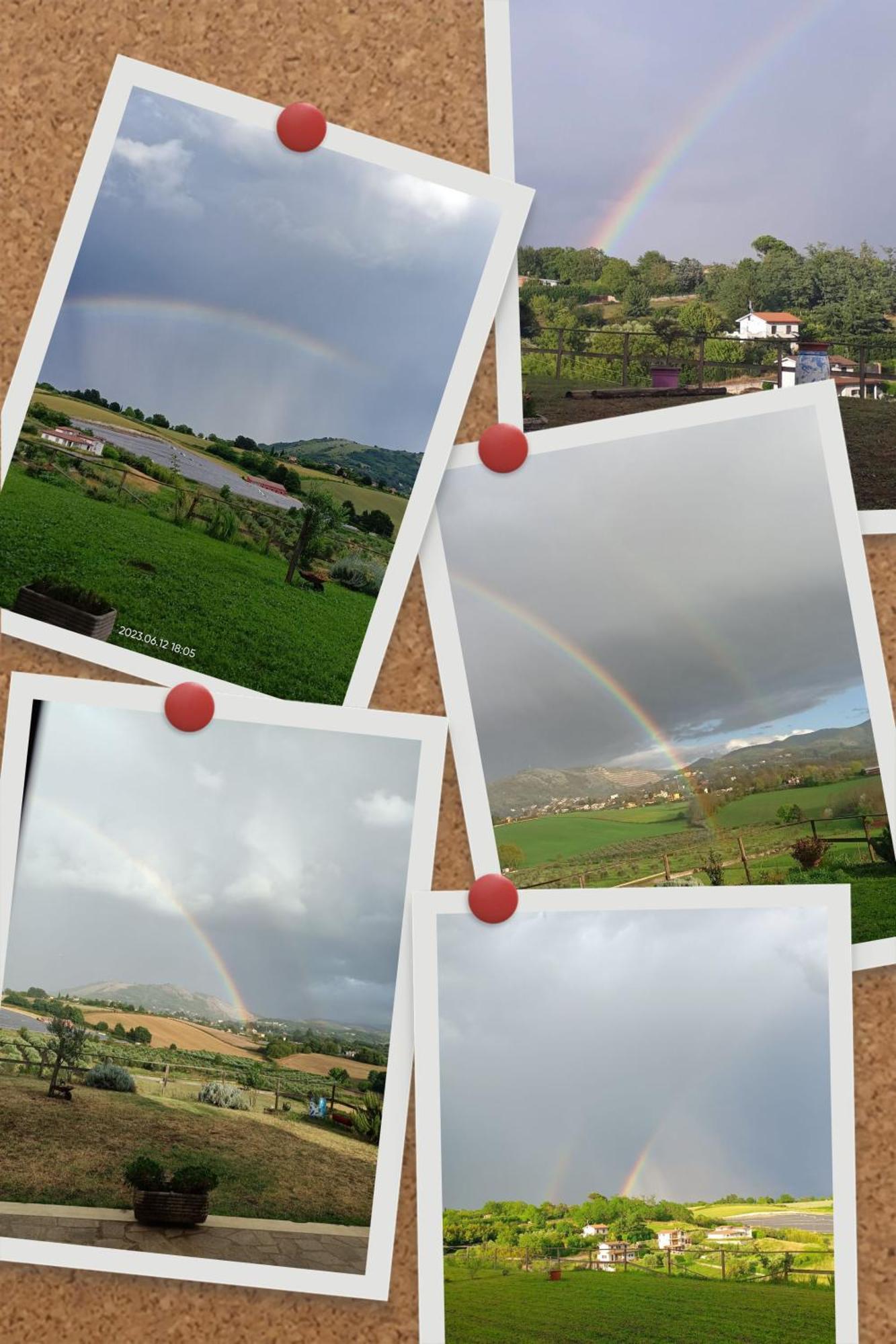 Il Faggio 17 B&B Artena Buitenkant foto