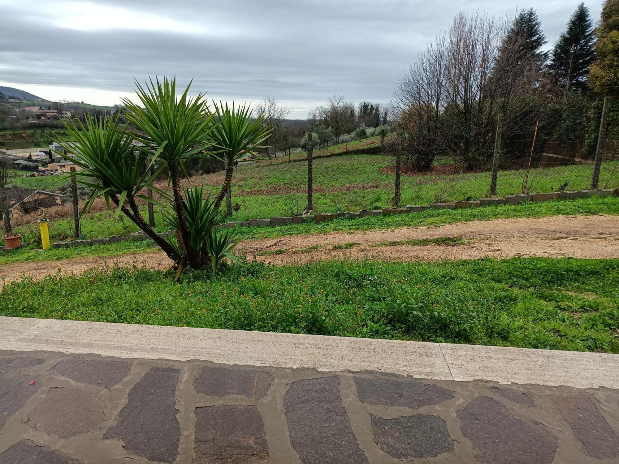 Il Faggio 17 B&B Artena Buitenkant foto